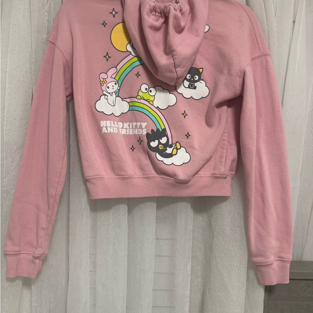 Sanrio Pink Hello Kitty and Friends Zip Hoodie